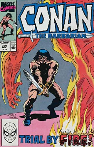 Конан-варварин # 230 VF / NM; Комиксите на Marvel | Джери Конуей